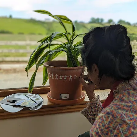 فندق مبيت وإفطار Saol Mall