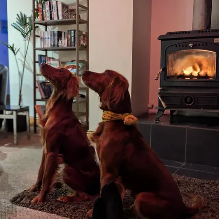 Saol Mall * ريد كاسل