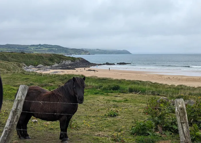 Saol Mall * Red Castle