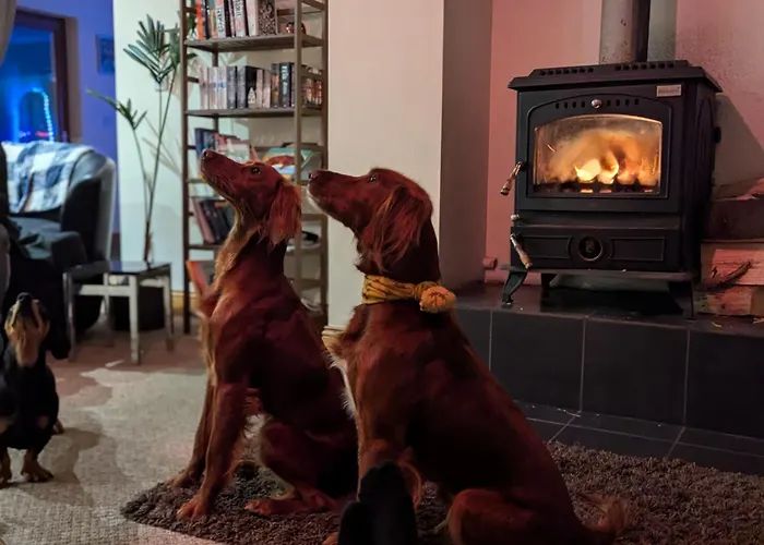 Saol Mall * Red Castle